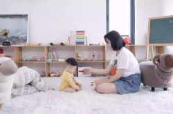 [5分钟教程]咨询公司的单位性质_哔哩哔哩-2